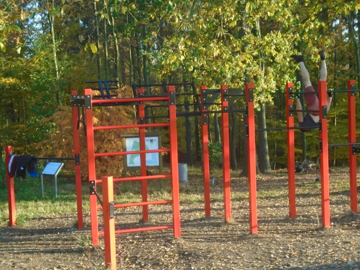 V lesoparku sportem ke zdraví.
