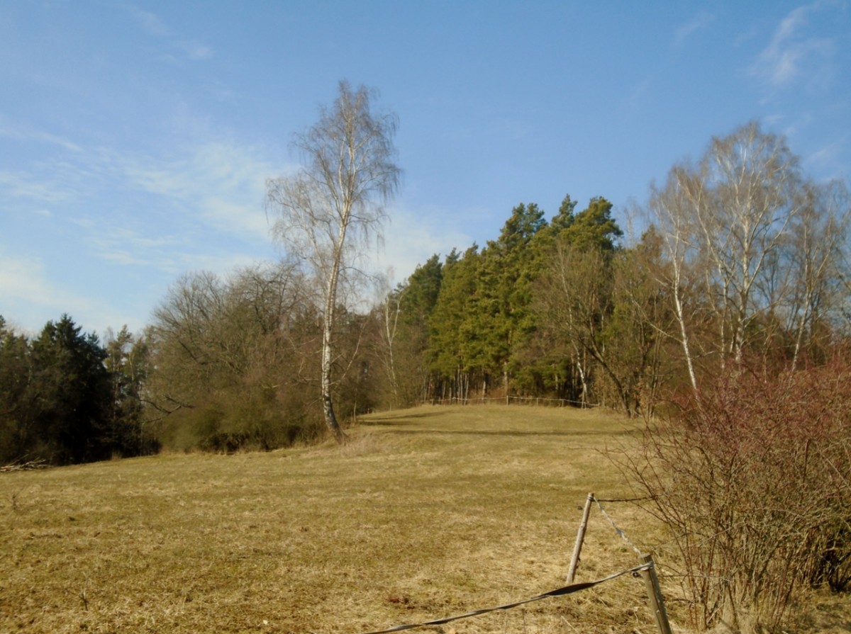 008-55.jpg