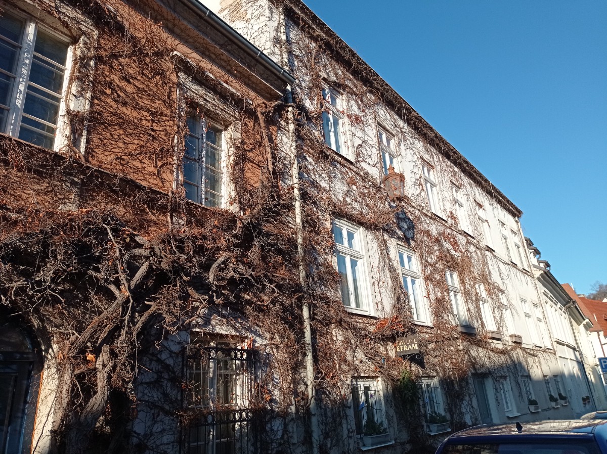 01-mikulov.jpg
