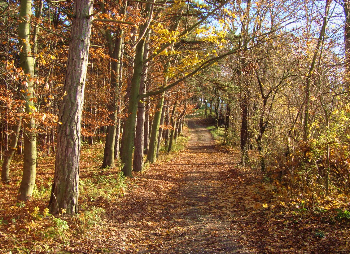 01-mostna-hora.jpg