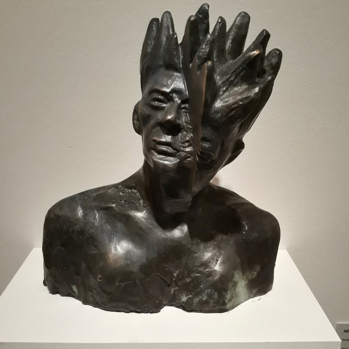 02-michal-cimbala-schizoid.jpg