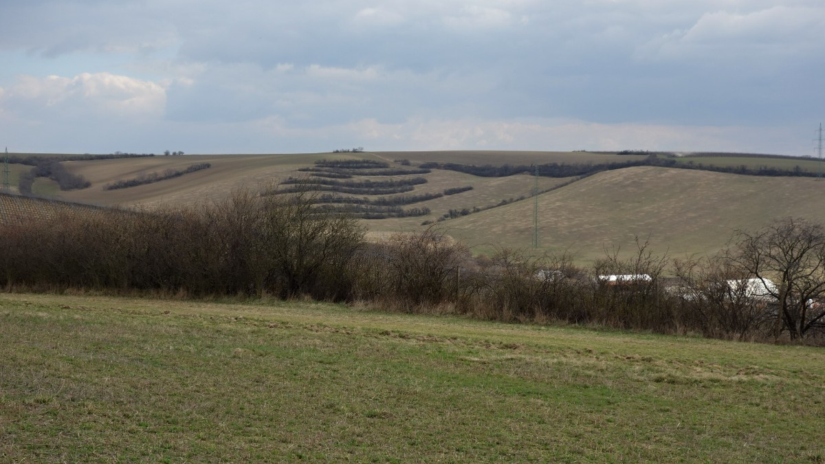 03-270.jpg