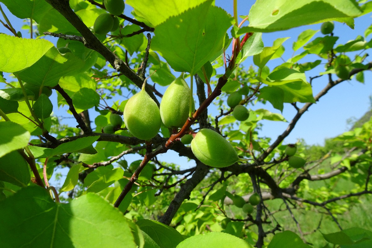 03-slibuji-sladkou-urodu.jpg