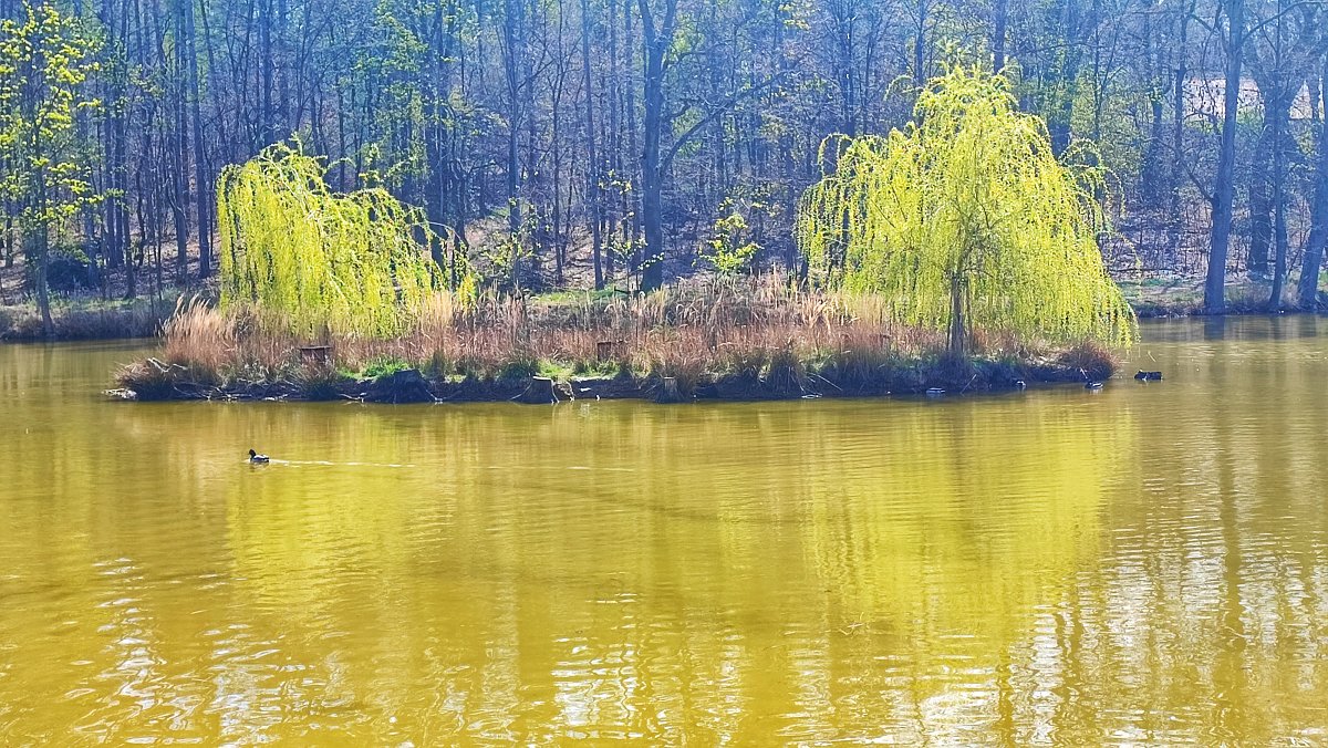 Ostrůvek