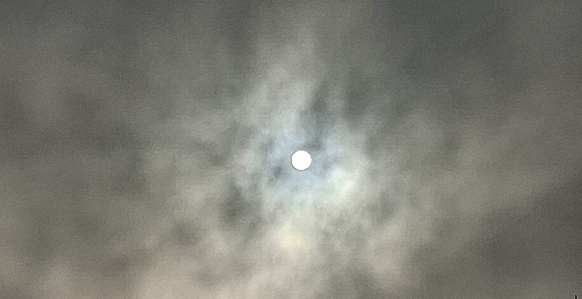 20260121-115833.jpg