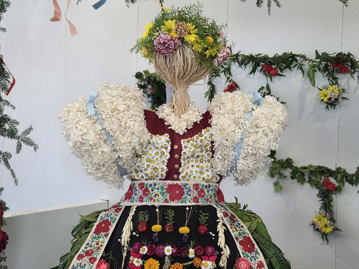Pozdrav z Flory Olomouc