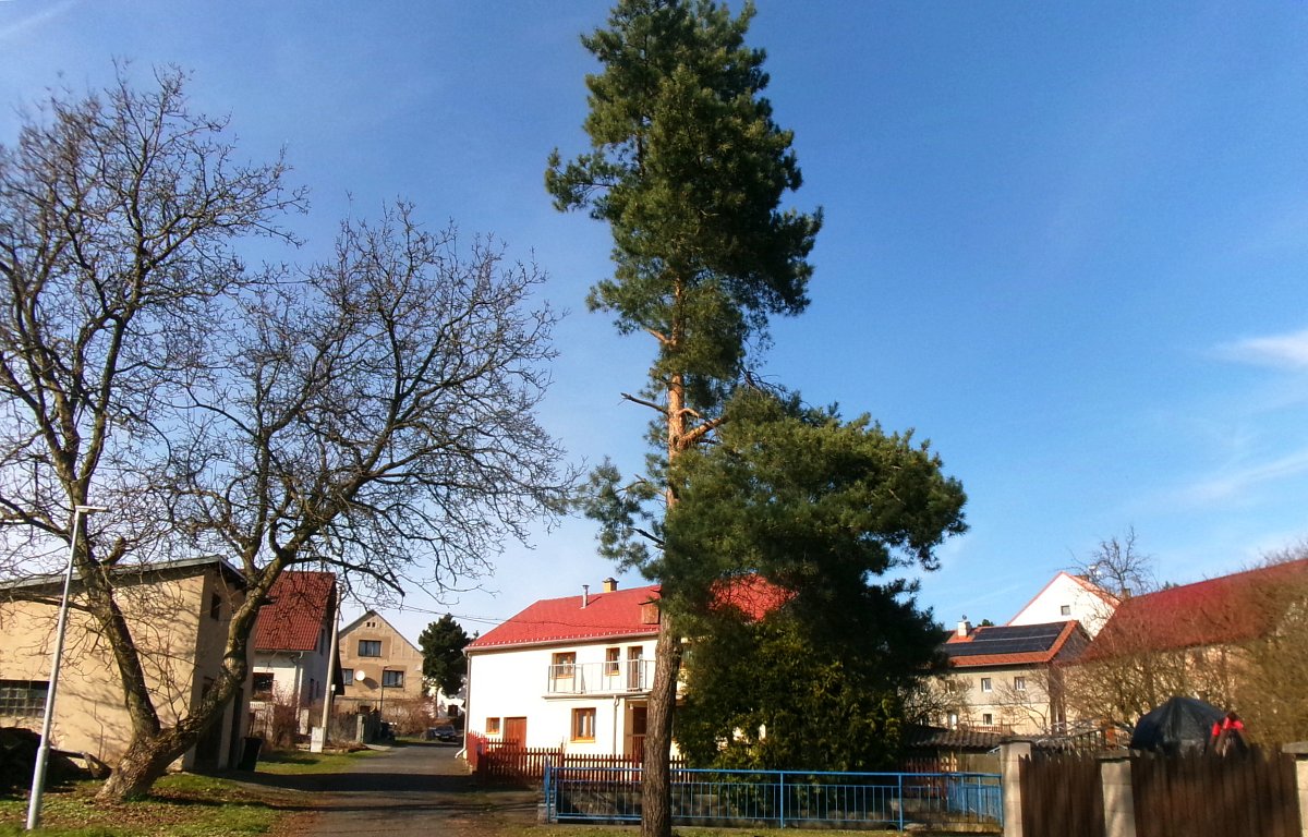 Přivítání v Lučním Chvojně *