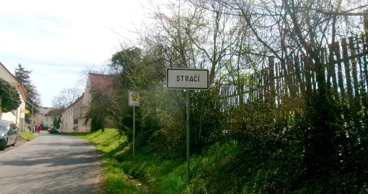 245-6031.jpg