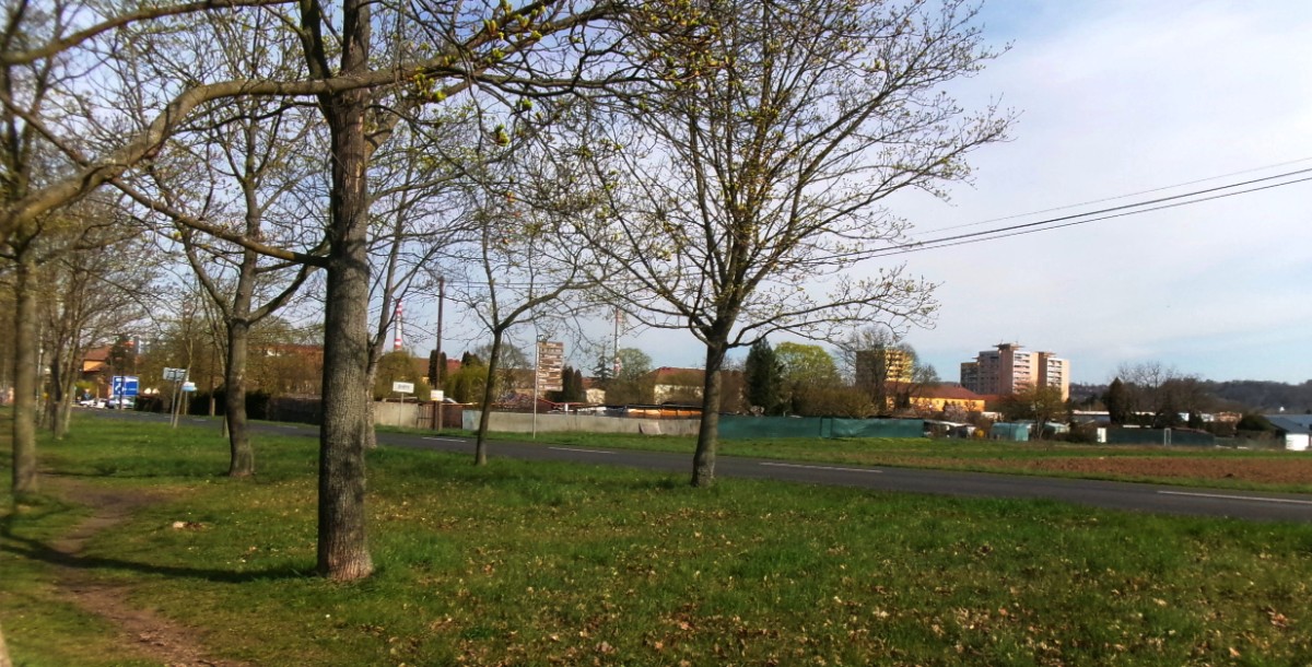 245-6022.jpg
