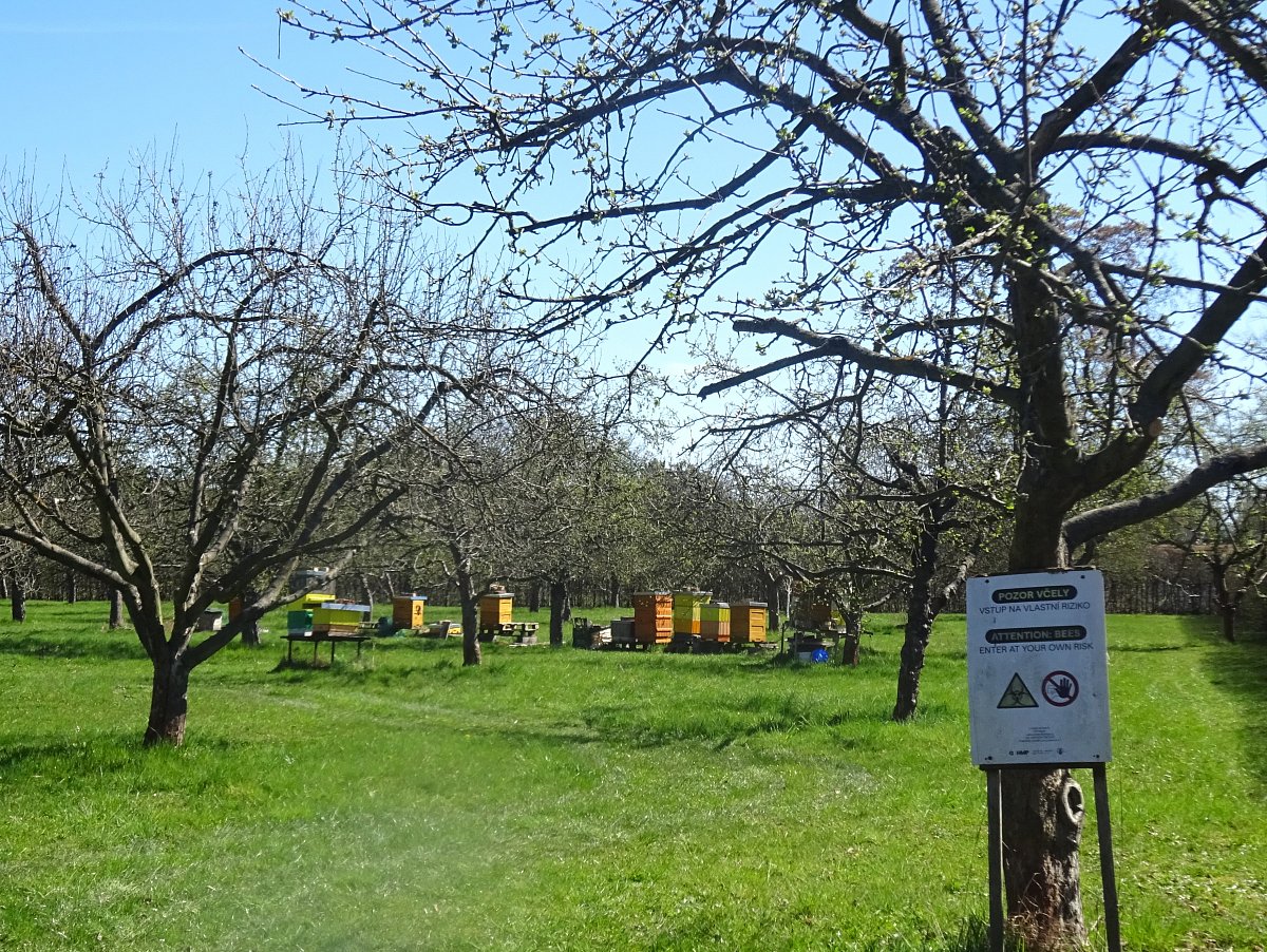Tady bydlí včelky