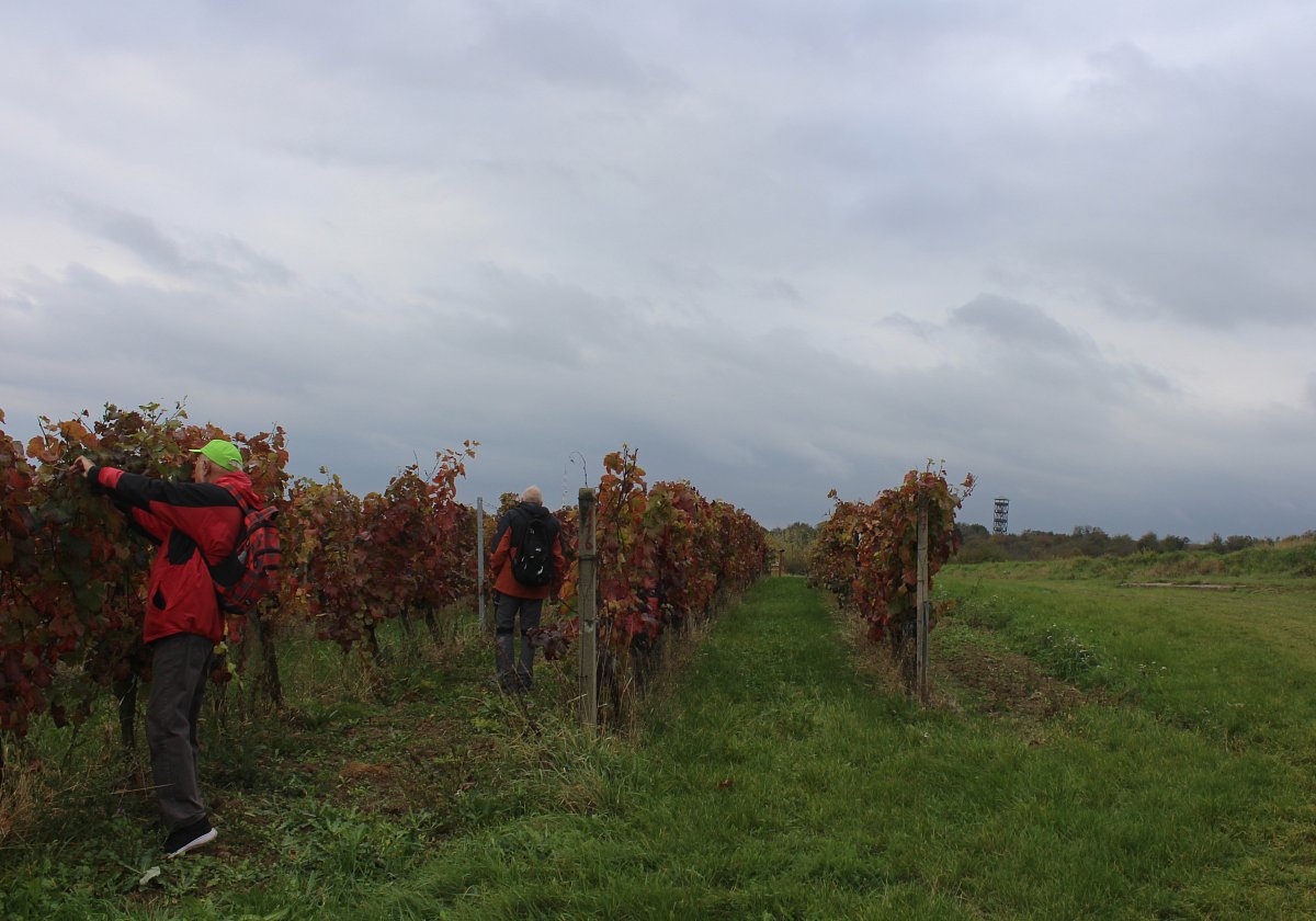 Ještě nám tam na ochutnání nechali