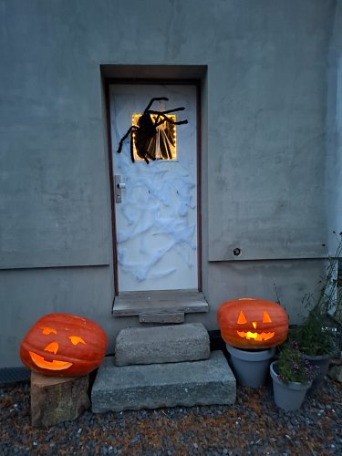 Pavouk a dýně