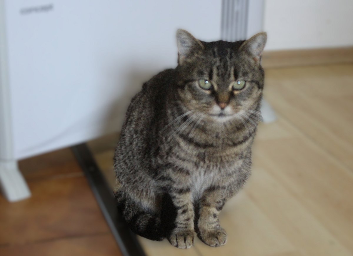 Vlastním jménem Ferda