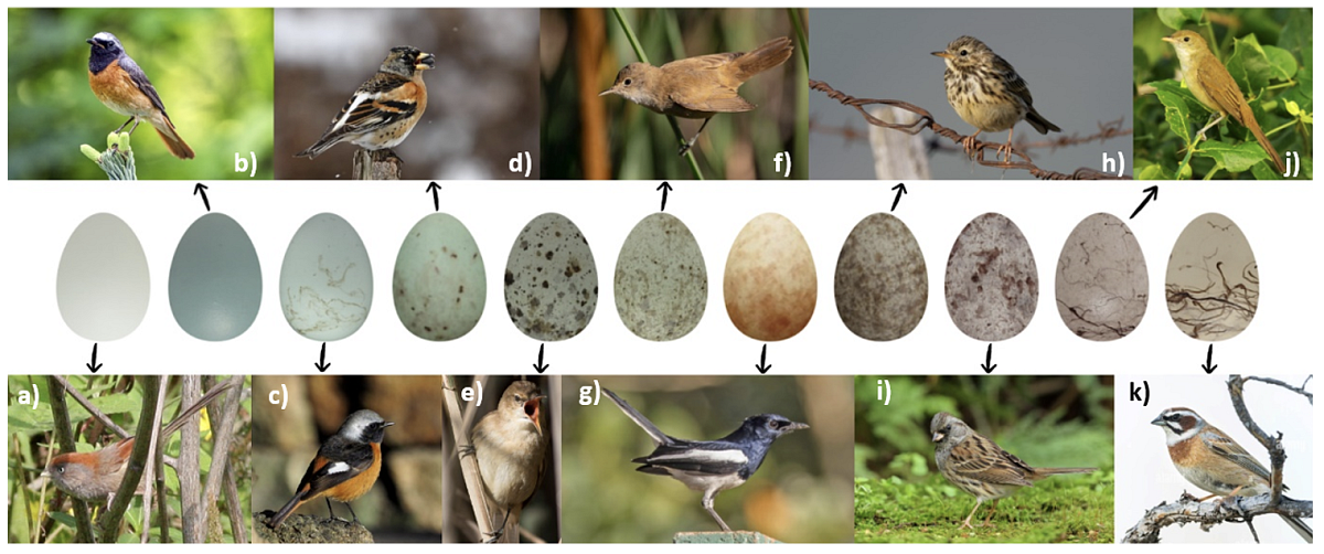 Snímek obrazovky 2025-11-04 v 10.43.16.png