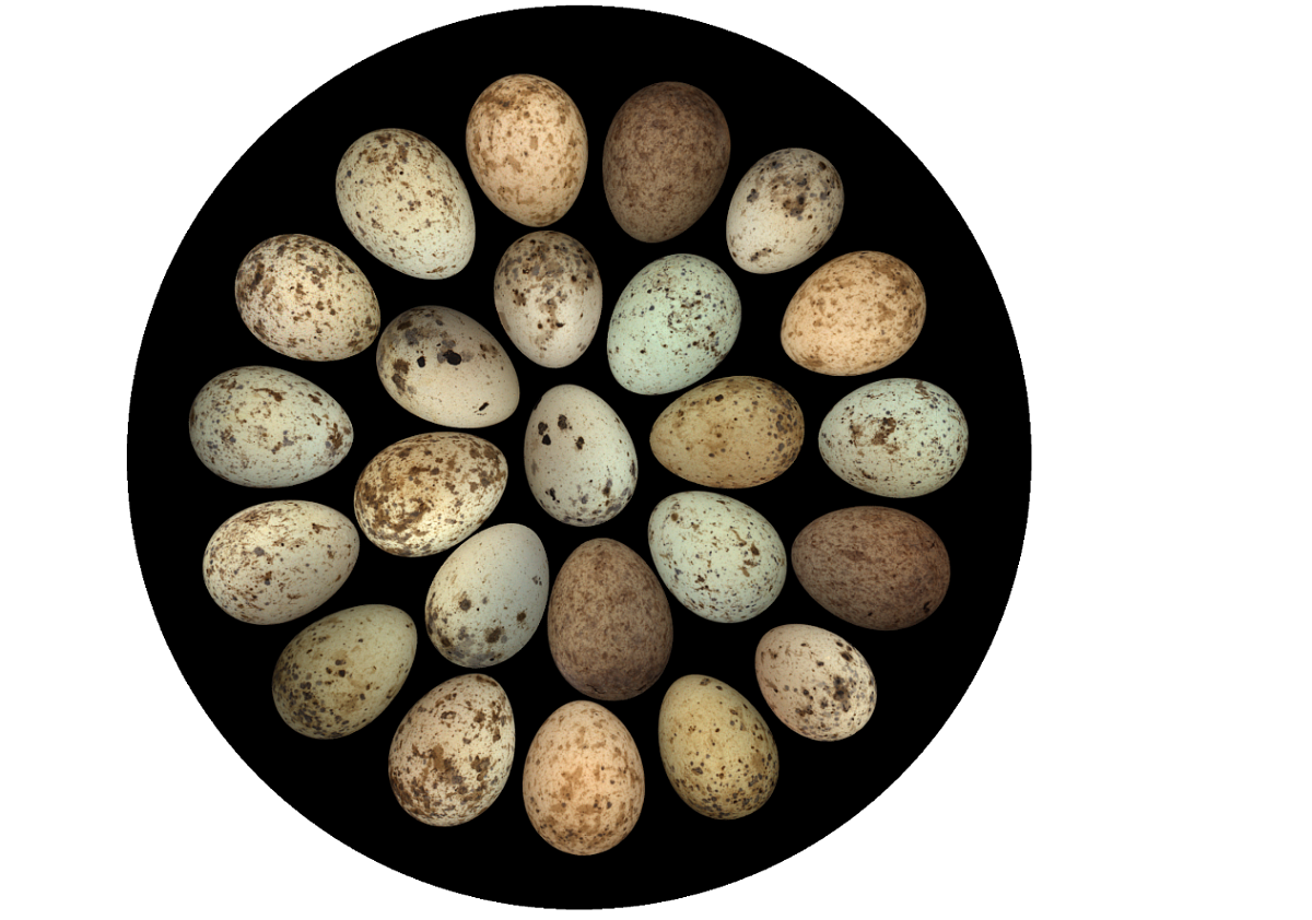 Snímek obrazovky 2025-11-04 v 10.45.11.png