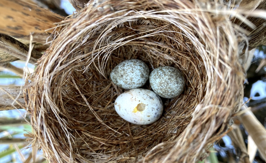 Snímek obrazovky 2025-11-04 v 9.42.34.png