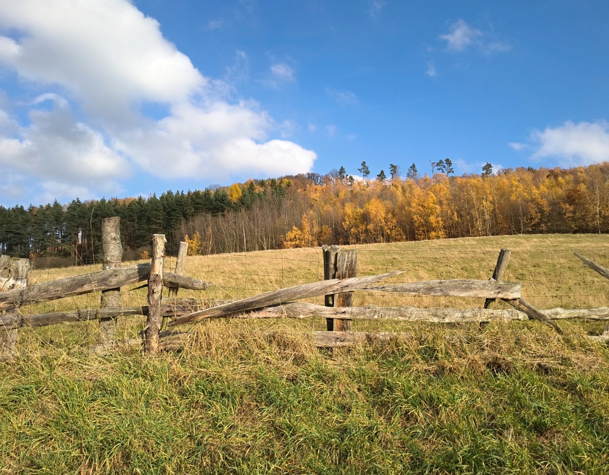Středohorské pastviny