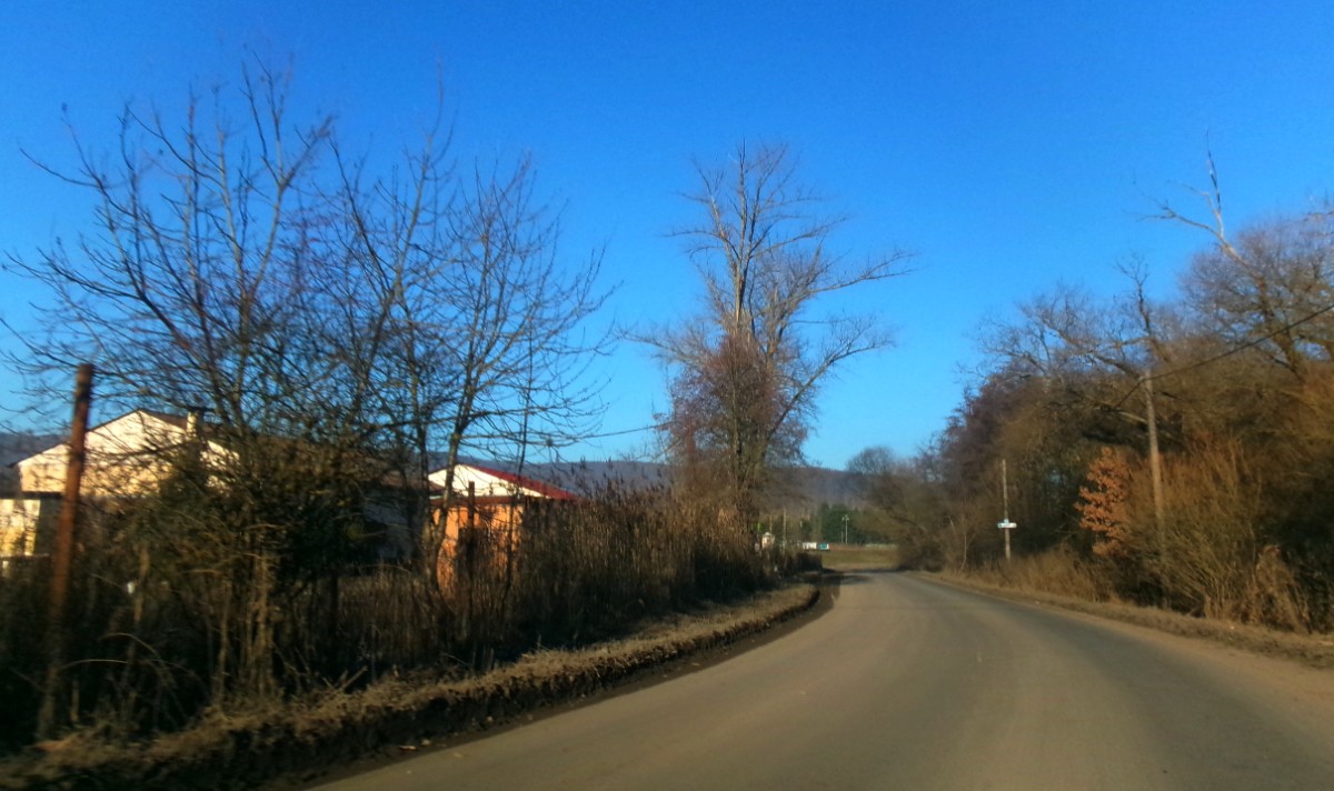 245-5122.jpg