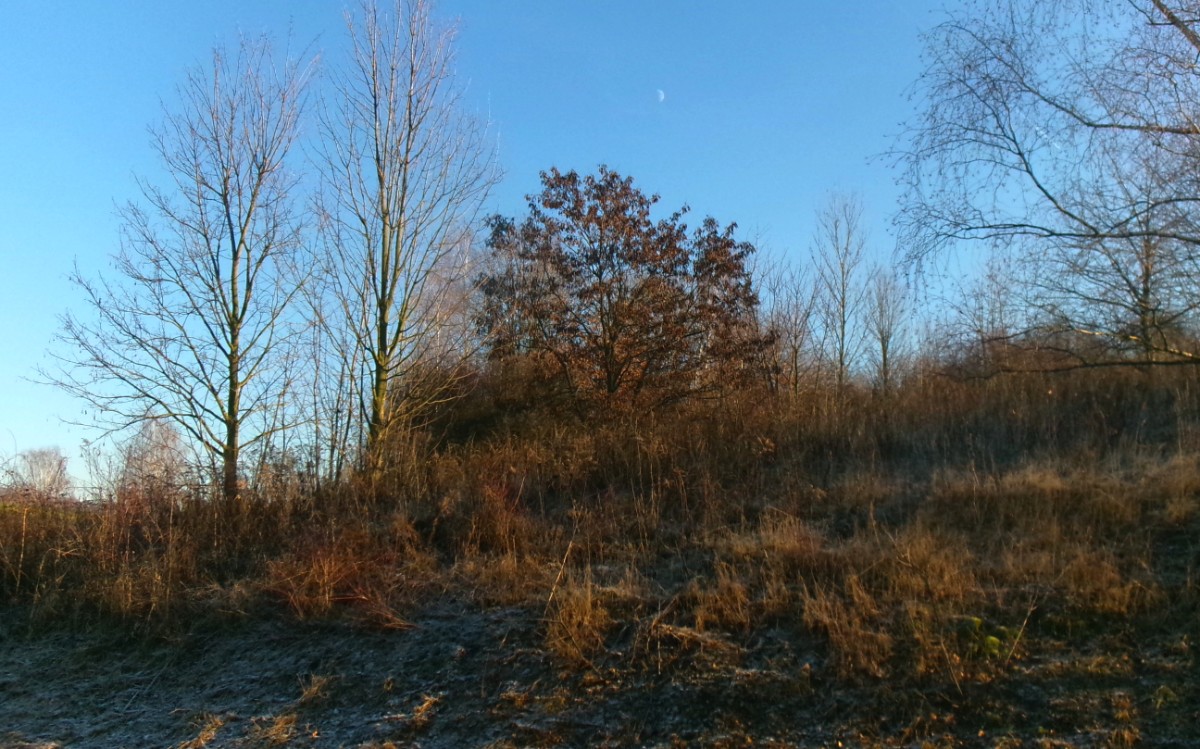 245-5128.jpg
