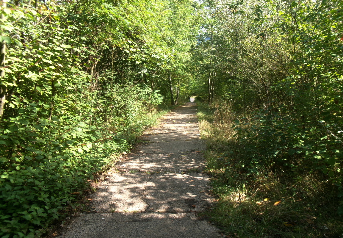245-3696.jpg