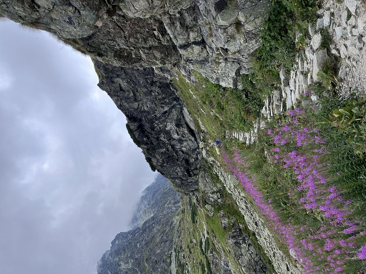 tatry