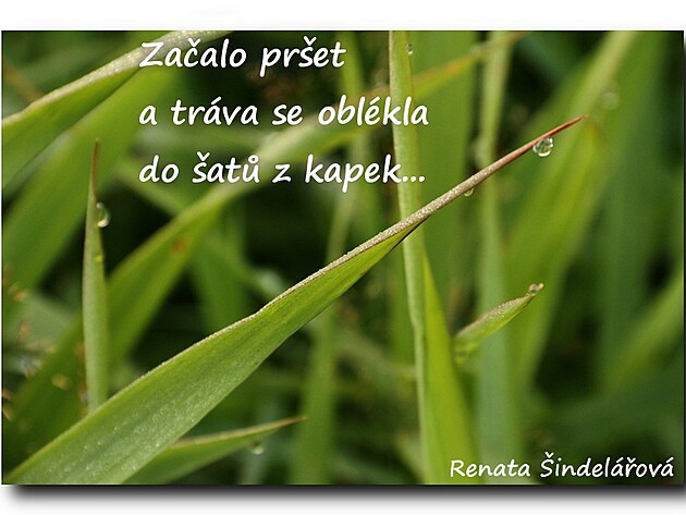 haiku 8