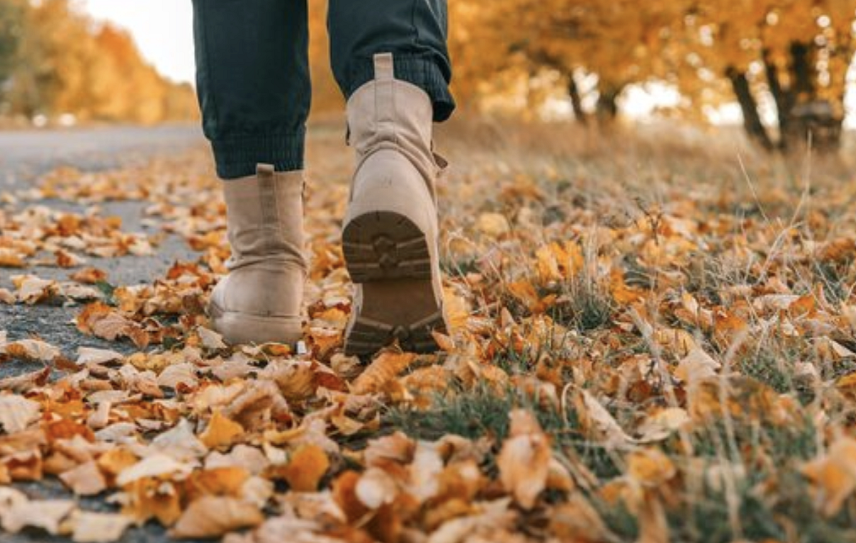 Z mého deníku: Obracet zpět se nevyplácí, zvlášť pokud jste na útěku
