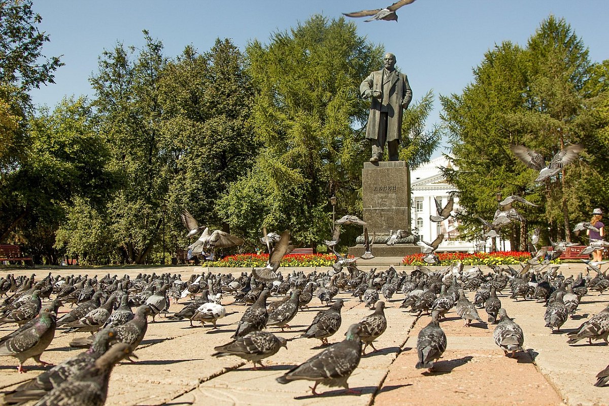 niko-shogol-pigeons-2108470-1280.jpg