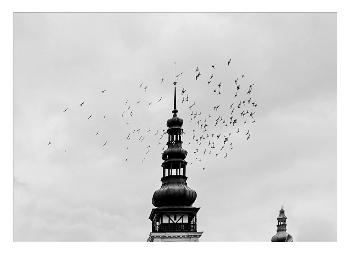 Štěbetárna u dvou věží ...