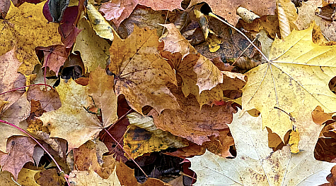 moja druhá galéria