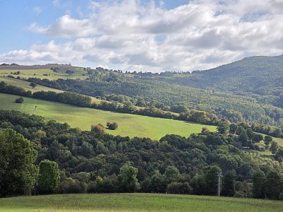 20251008-110138.jpg