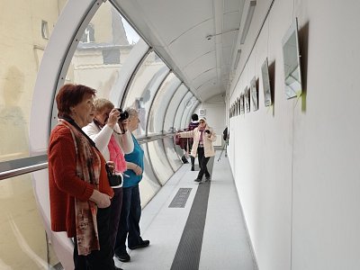 11-494.jpg