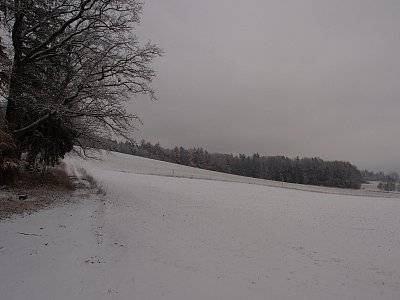 Z Heřmaniček do Sedlce 26.11.2025