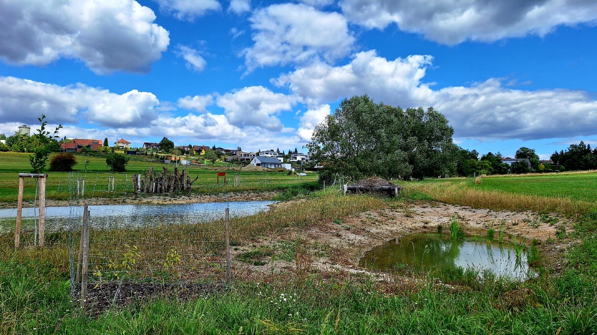 tune3.jpg